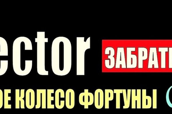 Как вывести деньги с kraken