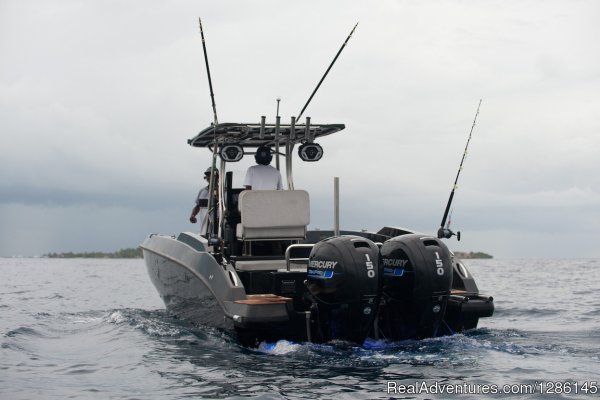 Kraken 14at