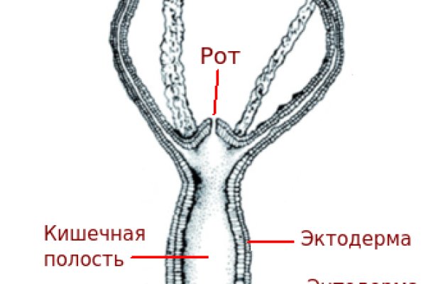 Только через тор кракен
