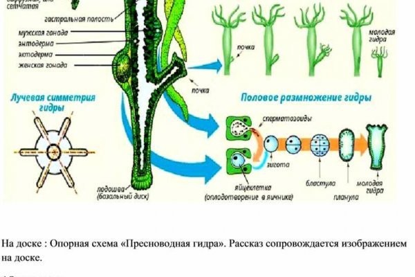 Kraken найдется все