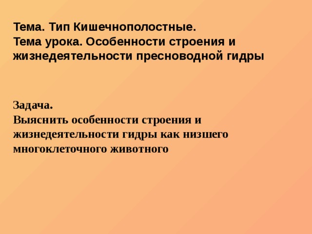 Kraken onion открытые зеркала