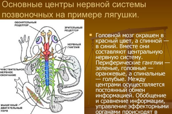 Ссылки кракен телеграф